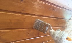 Чем обработать древесину от плесени и грибка — в подвале деревянного дома