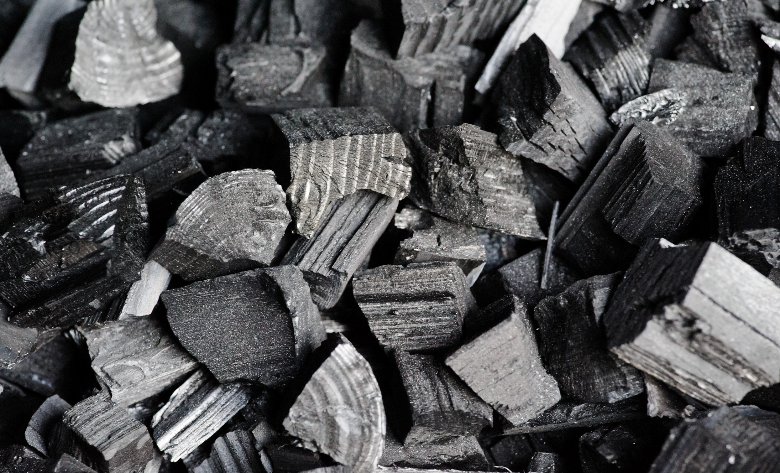 Фото древесного угля