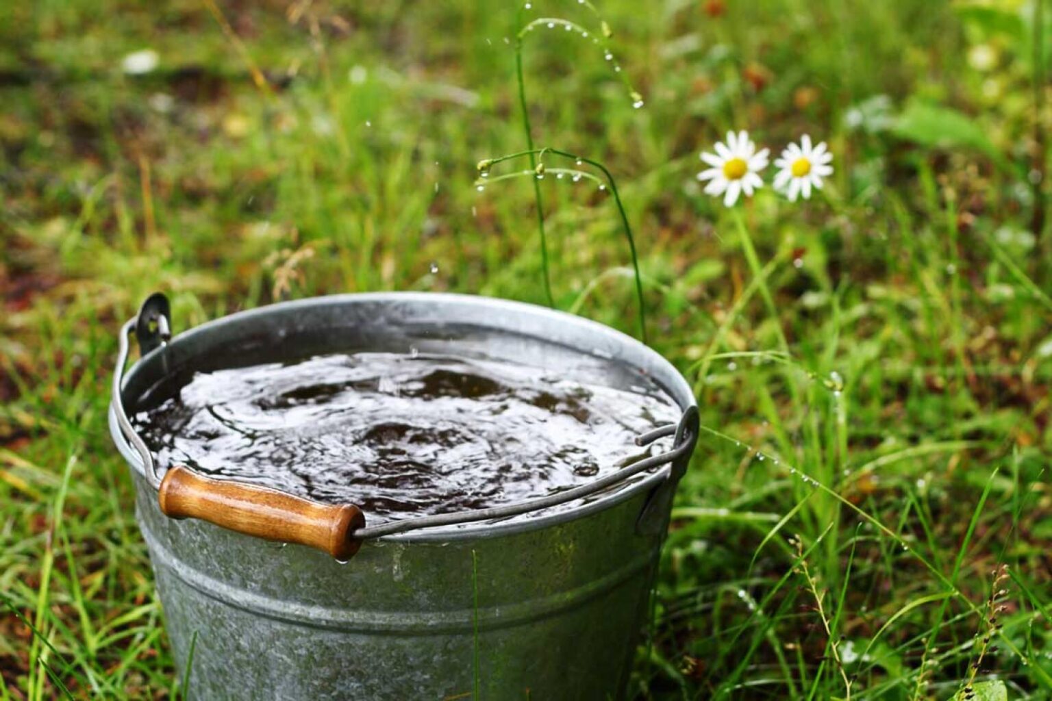 Фото ведра с водой