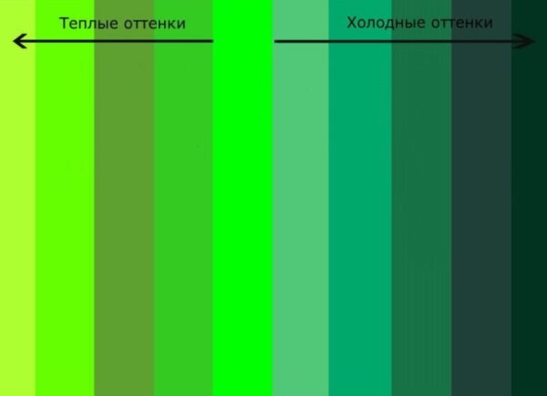 Оттенки зеленого цвета