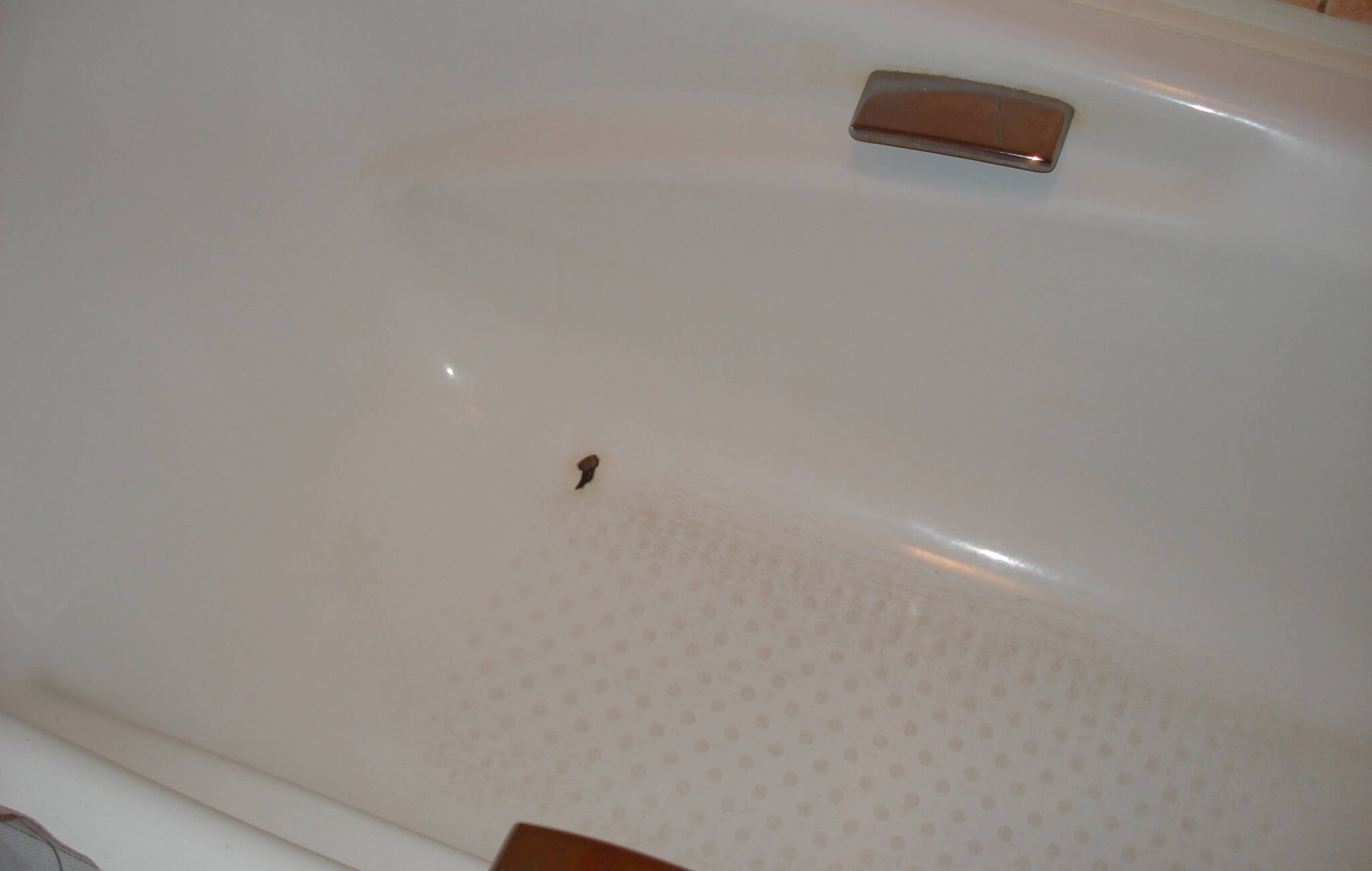 Чем заделать скол эмали – реставрируем ванну после повреждения