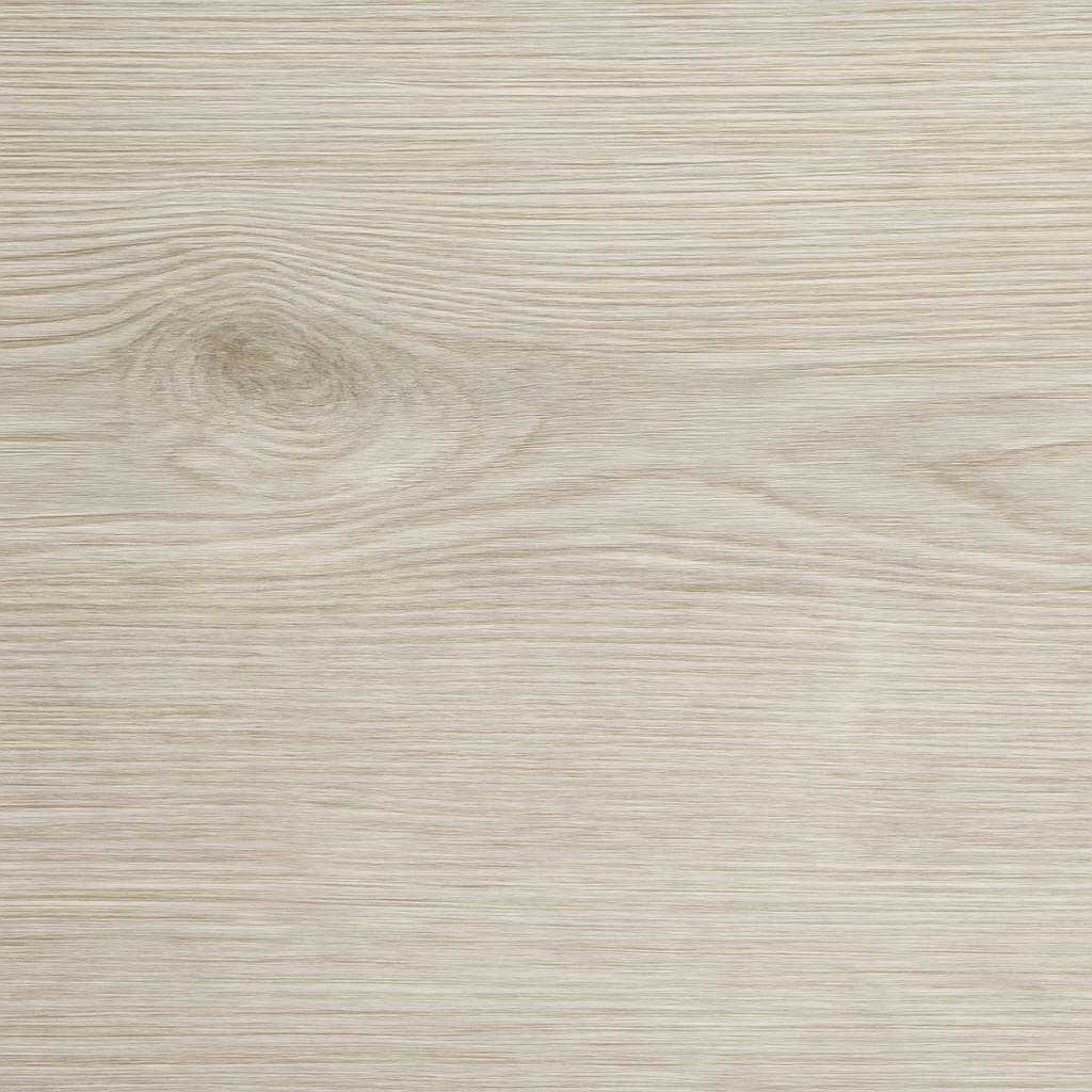 беленый дуб