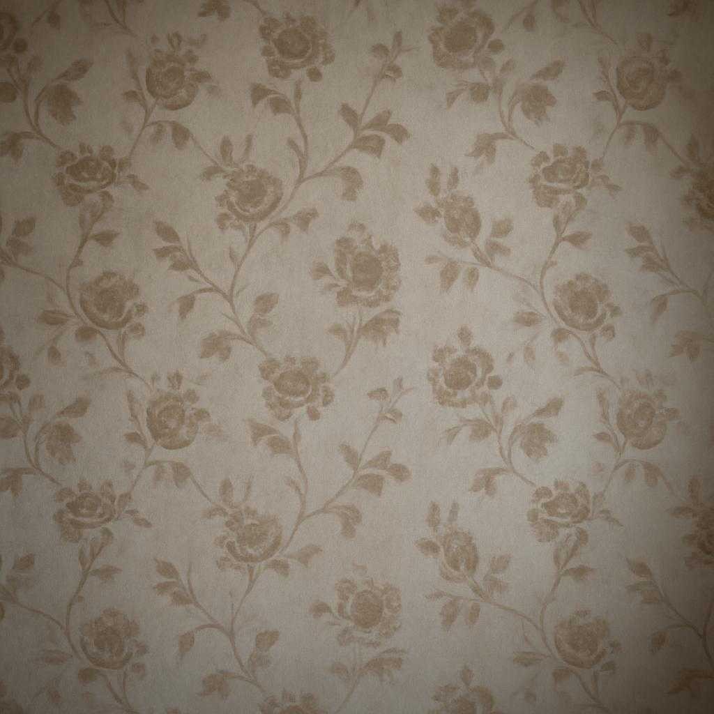 обои